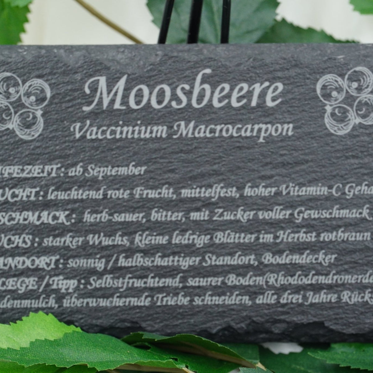 Garten Obst - und Strauchgehölze - RJC - Circle