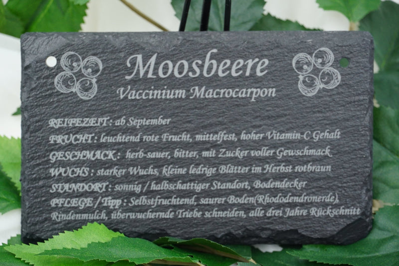 Garten Obst - und Strauchgehölze - RJC - Circle