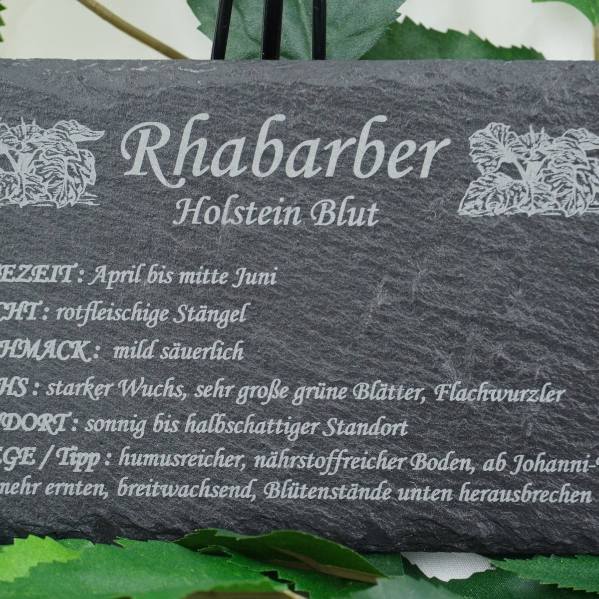 Garten Obst - und Strauchgehölze - RJC - Circle