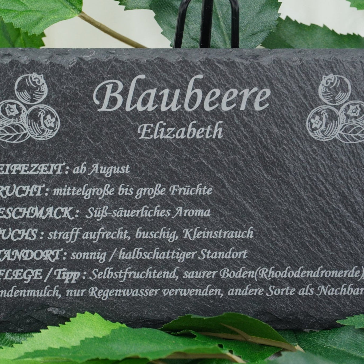 Garten Obst - und Strauchgehölze - RJC - Circle