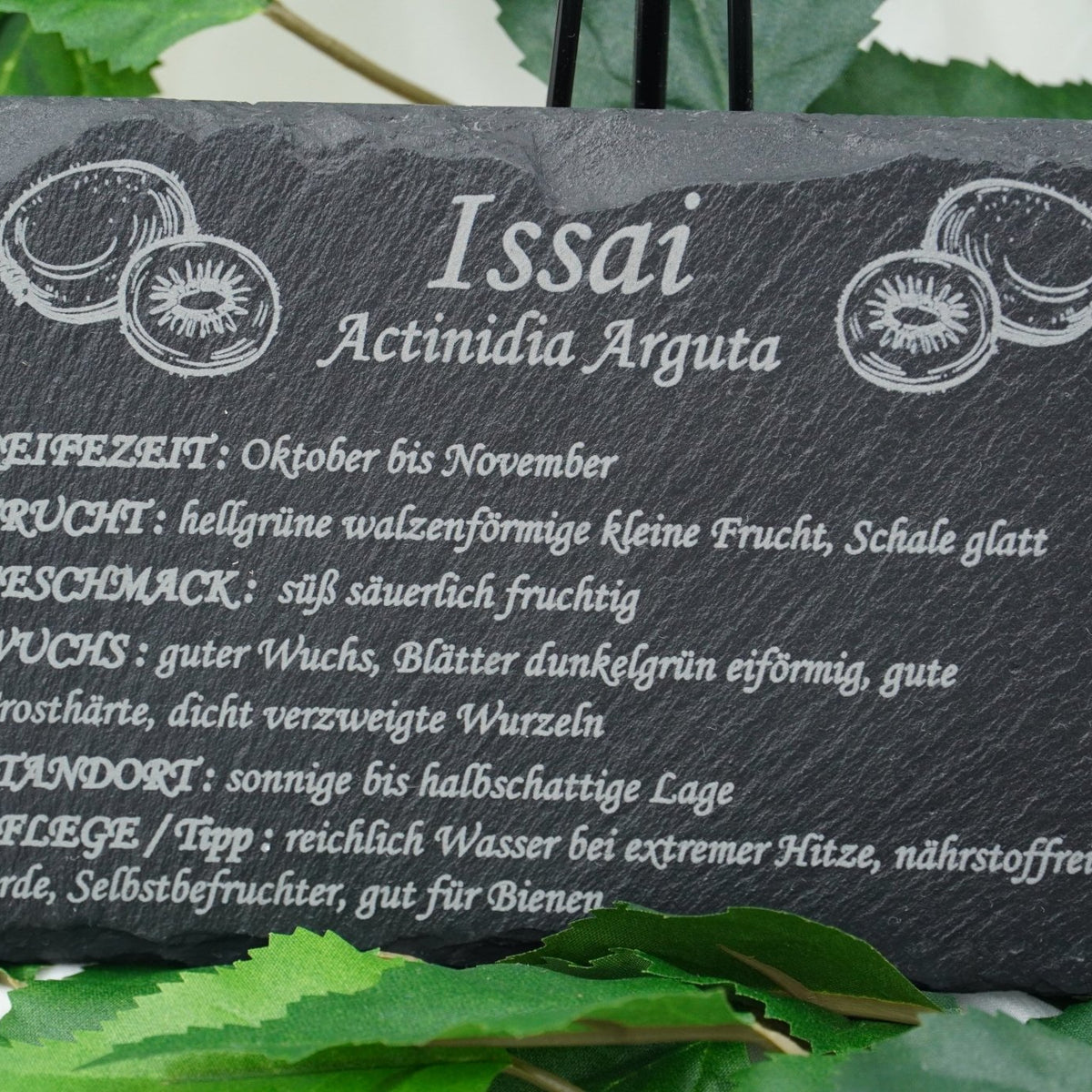 Garten Obst - und Strauchgehölze - RJC - Circle