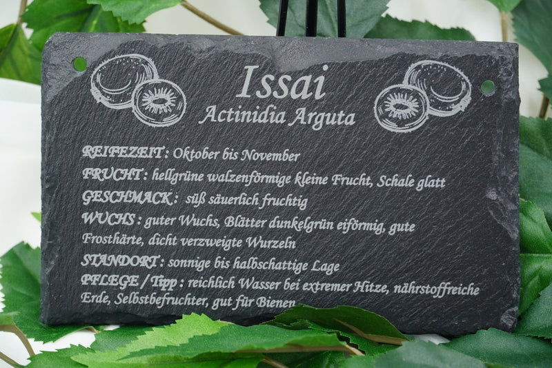 Garten Obst - und Strauchgehölze - RJC - Circle