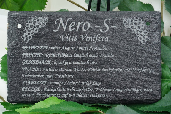 Garten Weinpflanzen - RJC - Circle