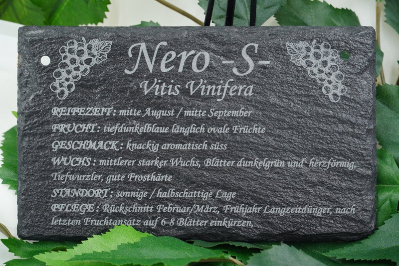 Garten Weinpflanzen - RJC - Circle