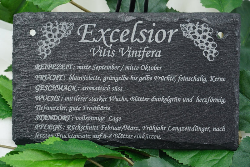 Garten Weinpflanzen - RJC - Circle