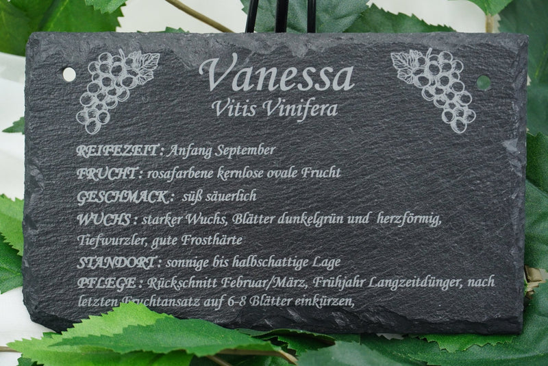 Garten Weinpflanzen - RJC - Circle