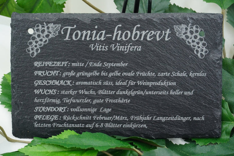 Garten Weinpflanzen - RJC - Circle