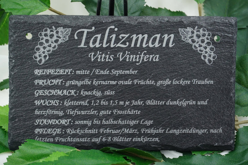 Garten Weinpflanzen - RJC - Circle