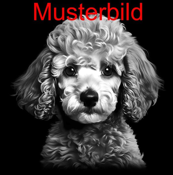 „Hier wache ich“ Schieferschild mit Gravur – Haustier Türschild für Hundehalter - RJC - Circle