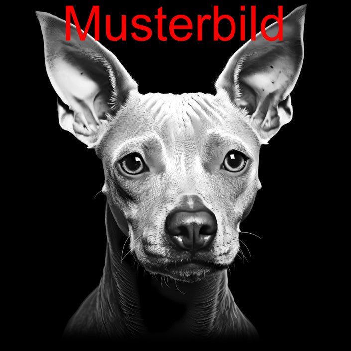 „Hier wache ich“ Schieferschild mit Gravur – Haustier Türschild für Hundehalter - RJC - Circle