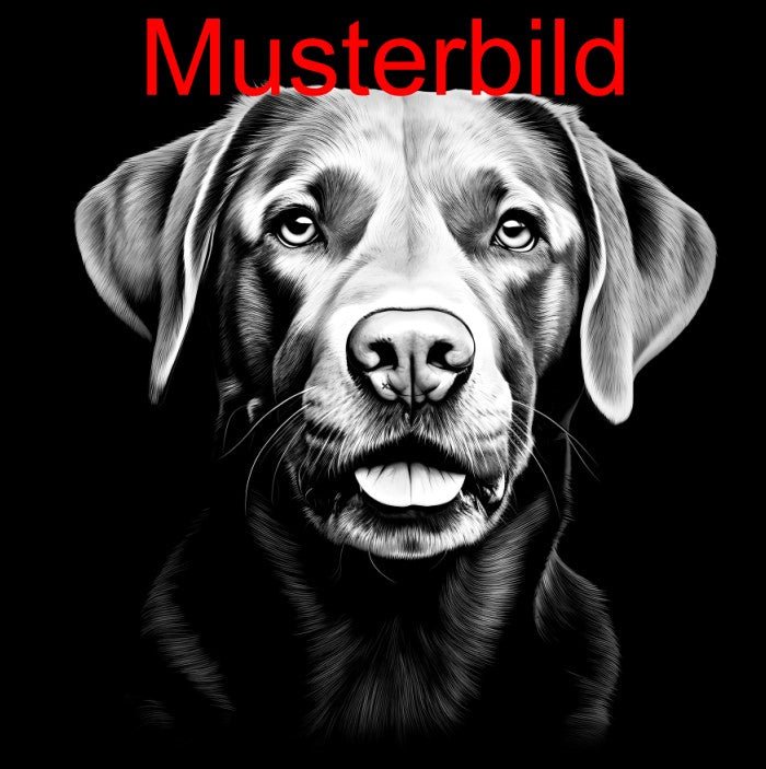 „Hier wache ich“ Schieferschild mit Gravur – Haustier Türschild für Hundehalter - RJC - Circle