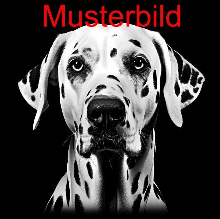 „Hier wache ich“ Schieferschild mit Gravur – Haustier Türschild für Hundehalter - RJC - Circle