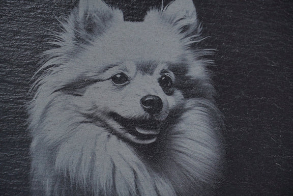„Hier wache ich“ Schieferschild mit Gravur – Haustier Türschild für Hundehalter - RJC - Circle