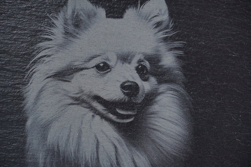 „Hier wache ich“ Schieferschild mit Gravur – Haustier Türschild für Hundehalter - RJC - Circle