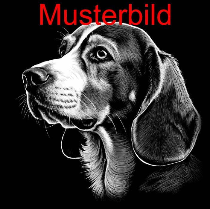 „Hier wache ich“ Schieferschild mit Gravur – Haustier Türschild für Hundehalter - RJC - Circle