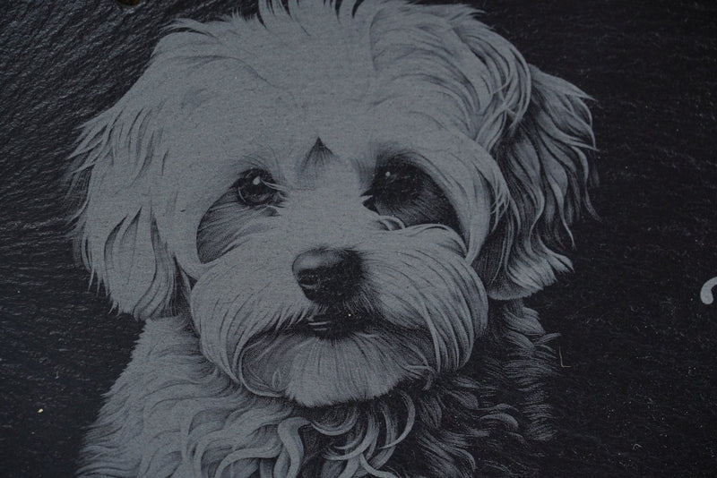 „Hier wache ich“ Schieferschild mit Gravur – Haustier Türschild für Hundehalter - RJC - Circle