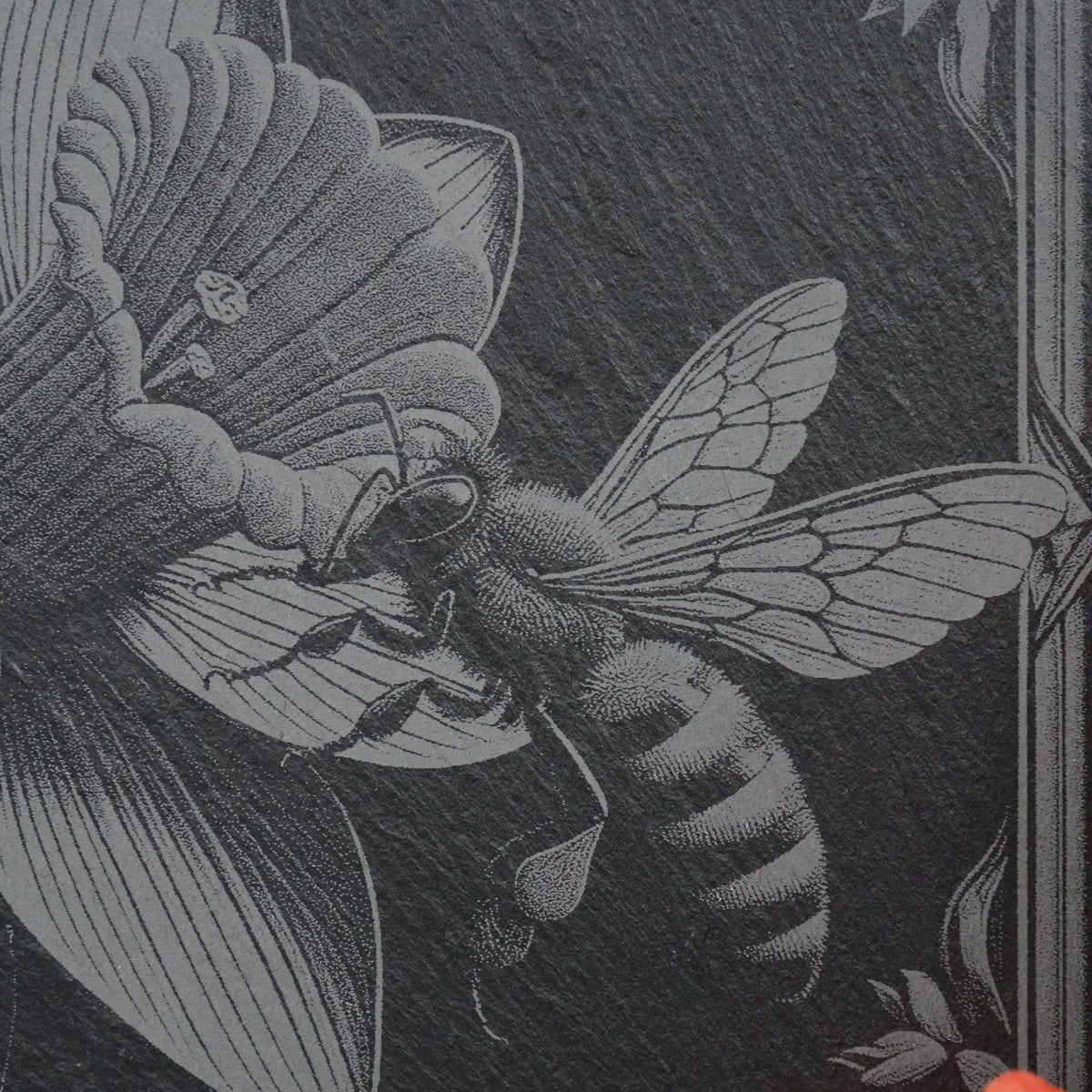 Insekten Untersetzer "Biene auf Narzisse" - personalisierbar - RJC - Circle