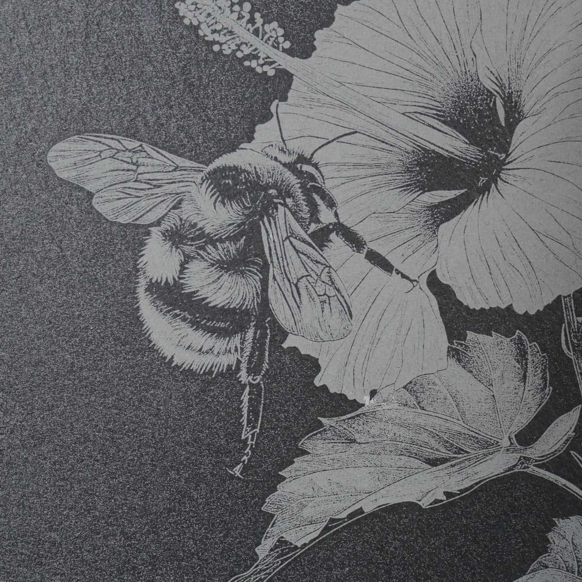 Insekten Untersetzer "Hummel auf Blume" - personalisierbar - RJC - Circle