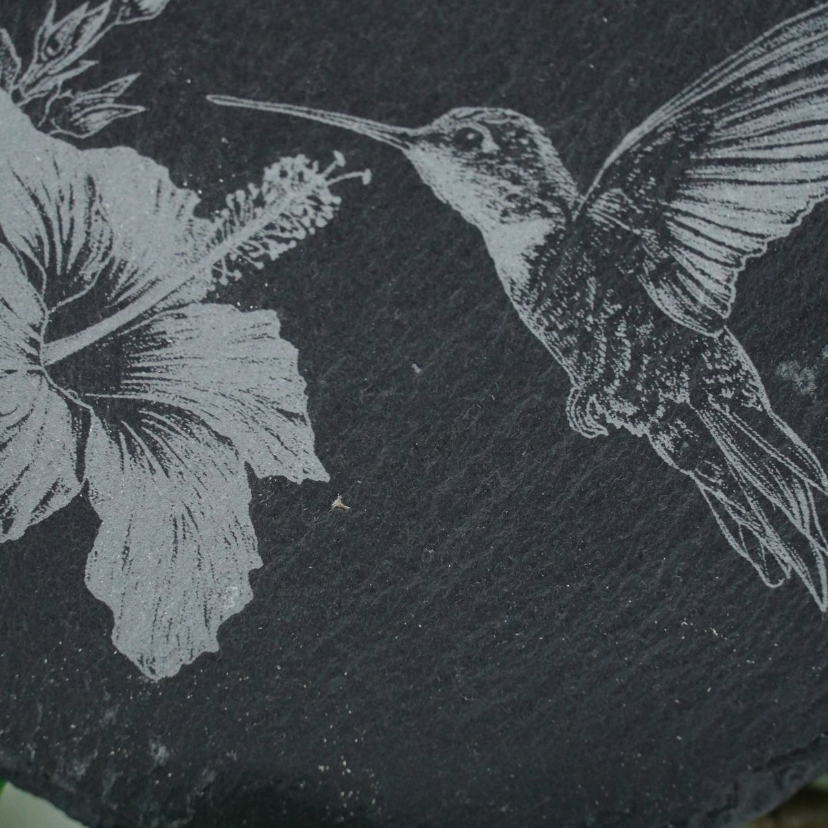 Tier Untersetzer Echse, Frosch, Kolibri, Libelle - RJC - Circle