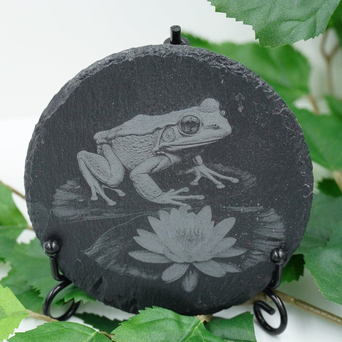 Tier Untersetzer Echse, Frosch, Kolibri, Libelle - RJC - Circle