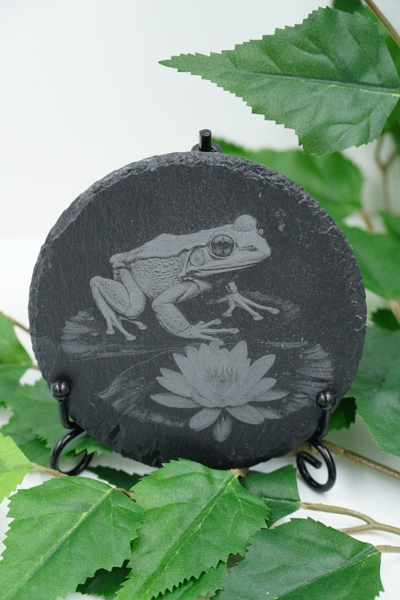 Tier Untersetzer Echse, Frosch, Kolibri, Libelle - RJC - Circle