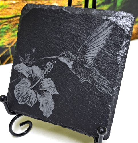 Tier Untersetzer Echse, Frosch, Kolibri, Libelle - RJC - Circle