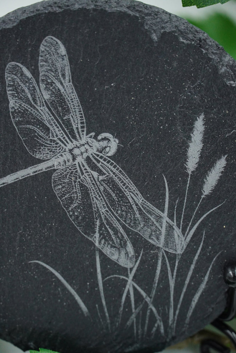 Tier Untersetzer Echse, Frosch, Kolibri, Libelle - RJC - Circle