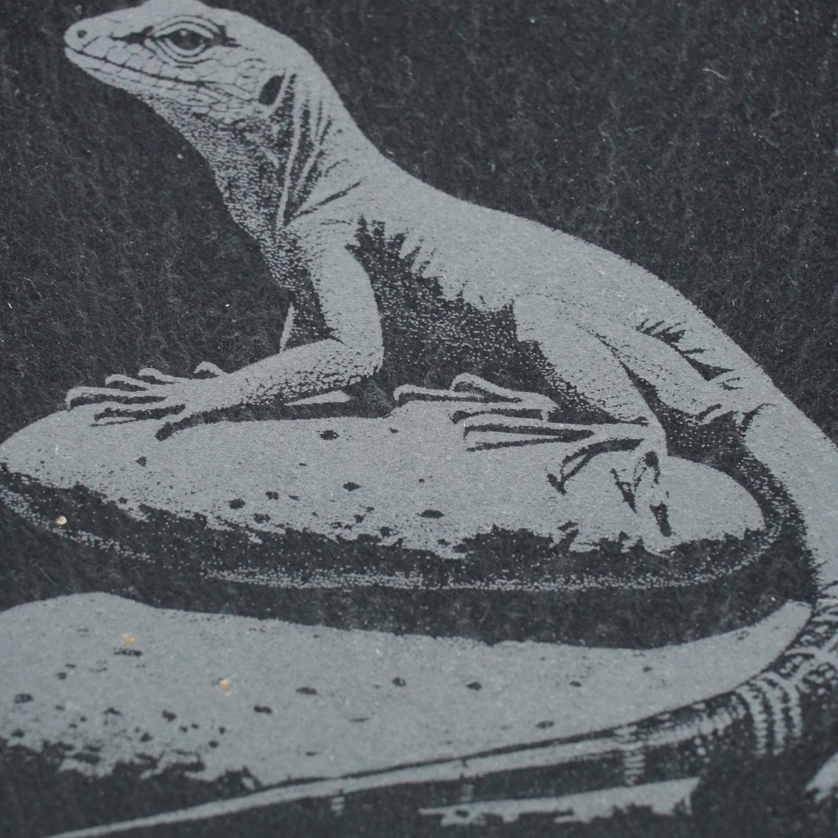 Tier Untersetzer Echse, Frosch, Kolibri, Libelle - RJC - Circle