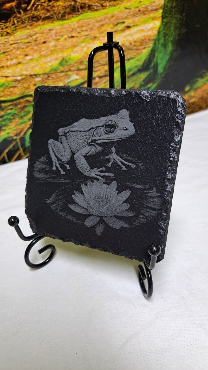 Tier Untersetzer Echse, Frosch, Kolibri, Libelle - RJC - Circle