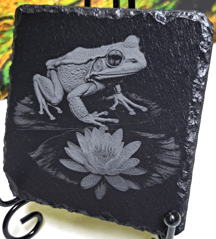 Tier Untersetzer Echse, Frosch, Kolibri, Libelle - RJC - Circle