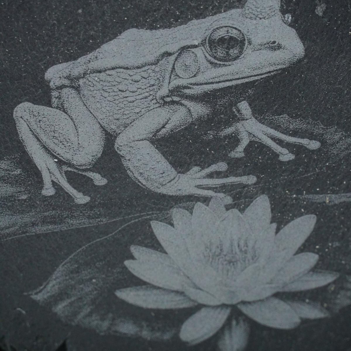 Tier Untersetzer Echse, Frosch, Kolibri, Libelle - RJC - Circle