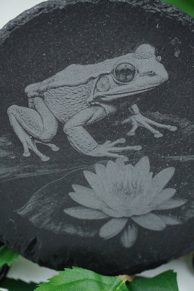 Tier Untersetzer Echse, Frosch, Kolibri, Libelle - RJC - Circle