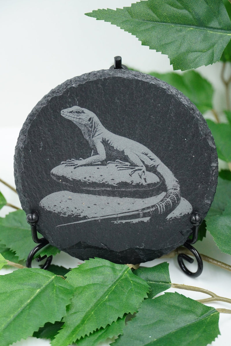 Tier Untersetzer Echse, Frosch, Kolibri, Libelle - RJC - Circle