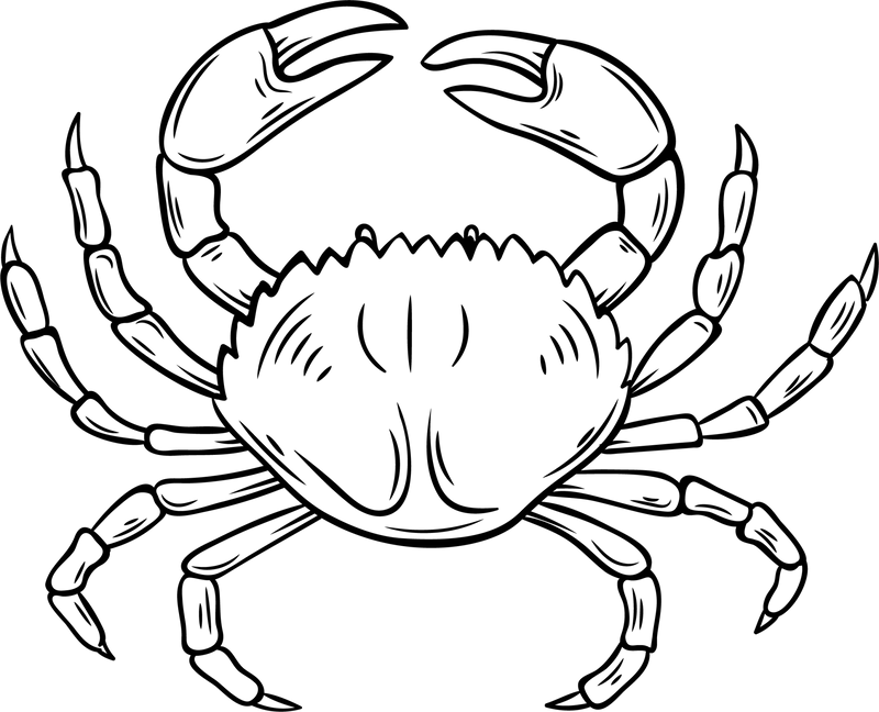 Untersetzer Kork verschiedene Motive - RJC - Circle